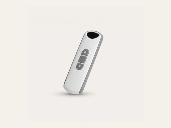 Alpha RE101 single channel handheld blind remote